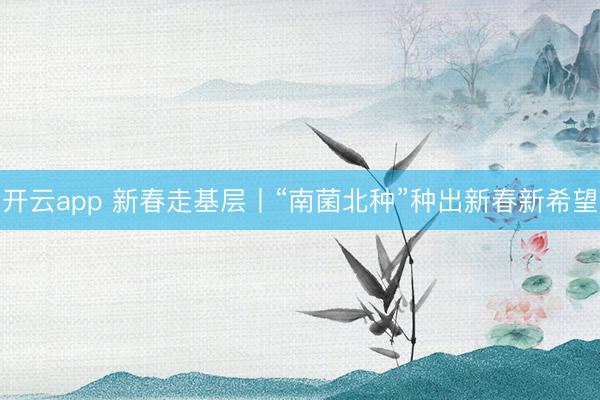 开云app 新春走基层丨“南菌北种”种出新春新希望