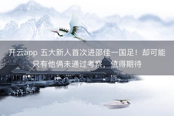 开云app 五大新人首次进邵佳一国足！却可能只有他俩未通过考察，值得期待