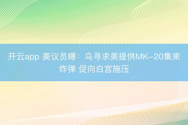 开云app 美议员曝：乌寻求美提供MK-20集束炸弹 促向白宫施压