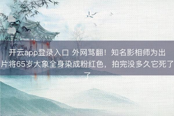 开云app登录入口 外网骂翻!知名影相师为出片将65岁大象全身染成粉红色,拍完没多久它死了