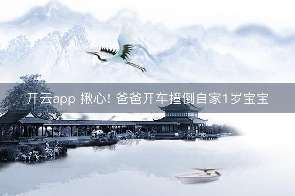 开云app 揪心! 爸爸开车撞倒自家1岁宝宝