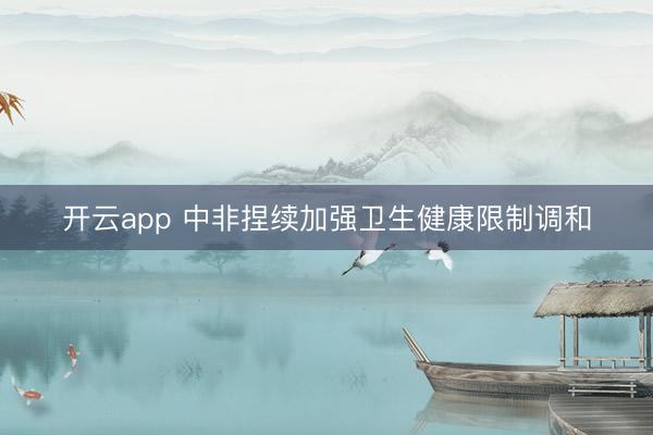 开云app 中非捏续加强卫生健康限制调和