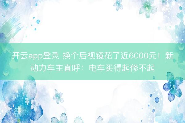 开云app登录 换个后视镜花了近6000元！新动力车主直呼：电车买得起修不起